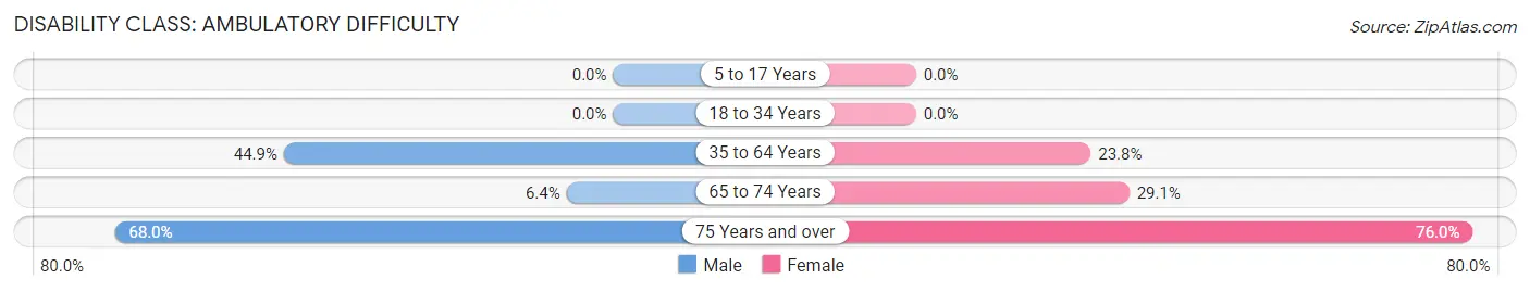 Disability in Zip Code 41640: <span>Ambulatory Difficulty</span>