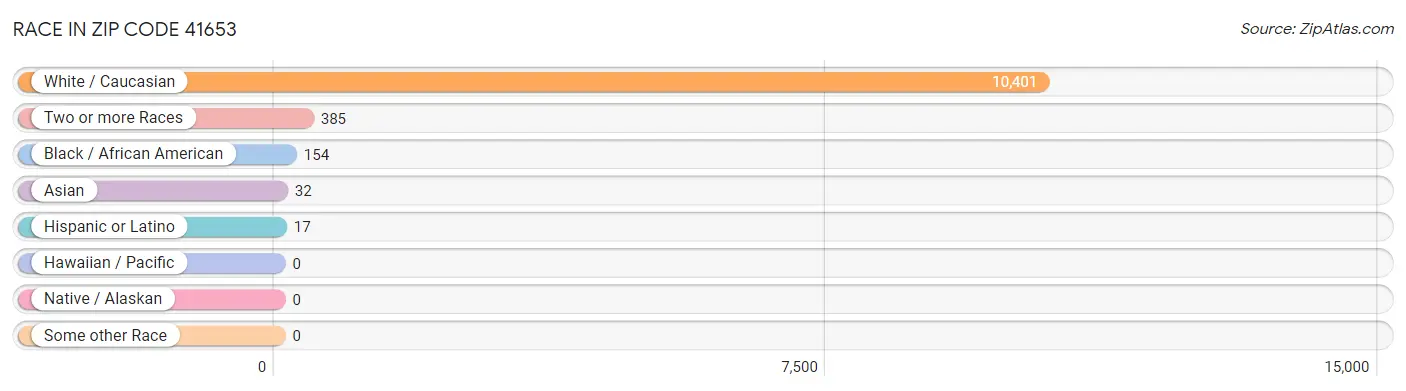 Race in Zip Code 41653
