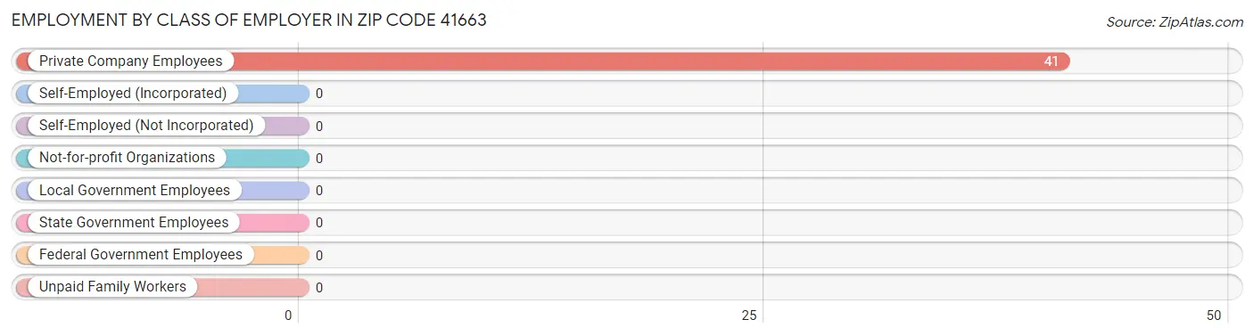 Employment by Class of Employer in Zip Code 41663