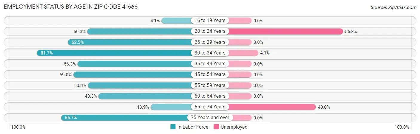 Employment Status by Age in Zip Code 41666