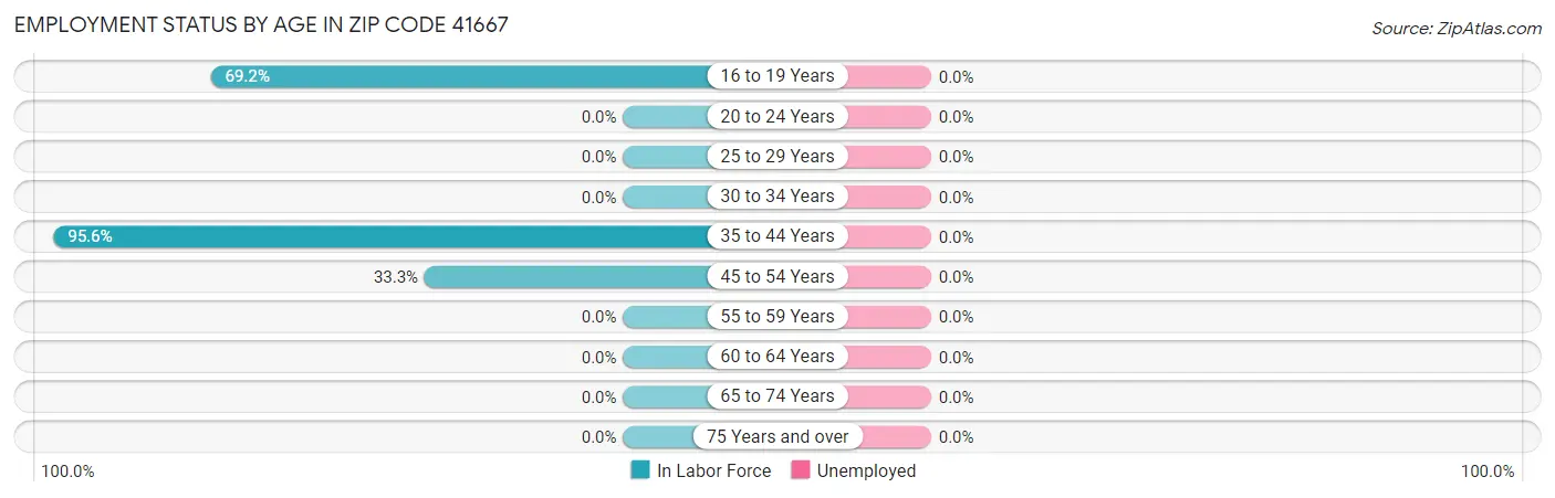 Employment Status by Age in Zip Code 41667