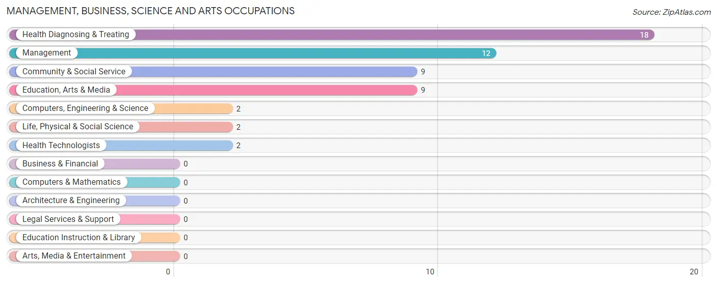 Management, Business, Science and Arts Occupations in Zip Code 41669