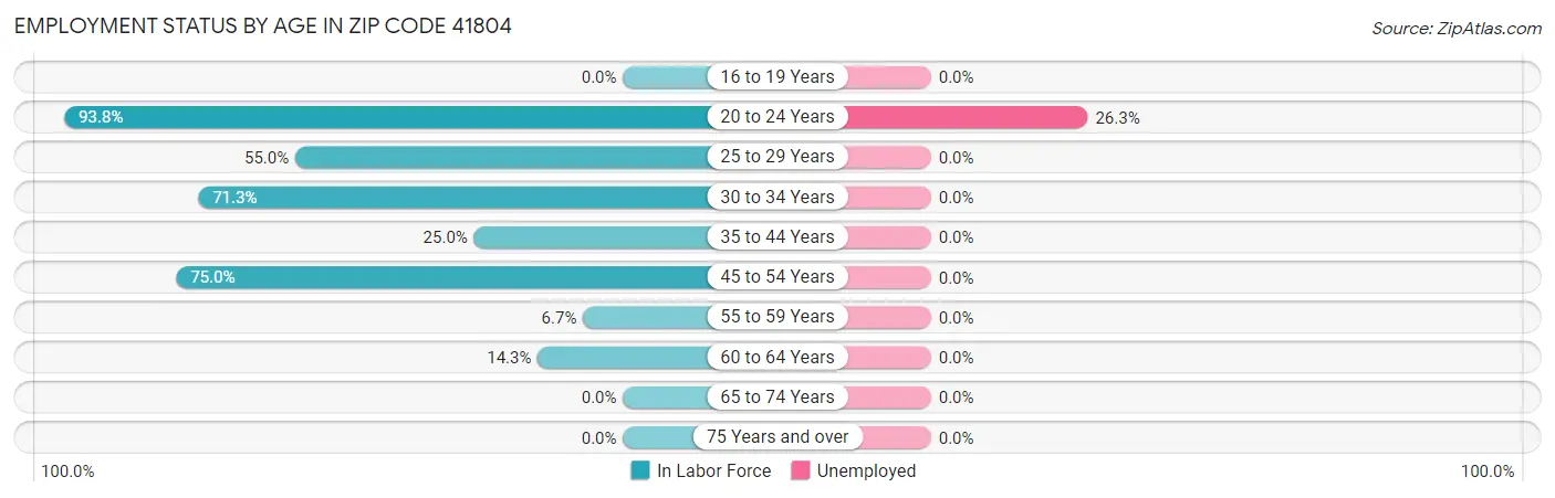 Employment Status by Age in Zip Code 41804
