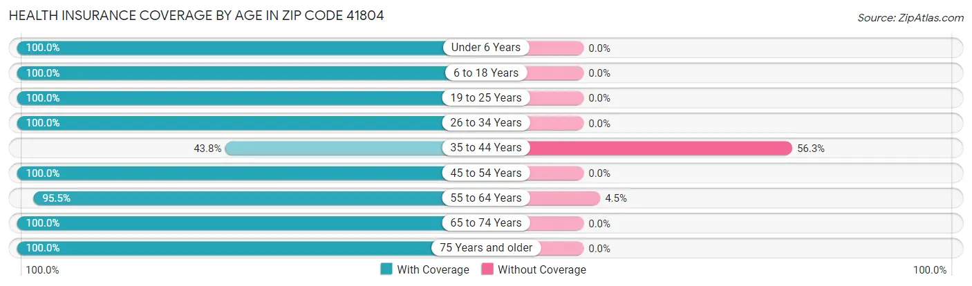 Health Insurance Coverage by Age in Zip Code 41804