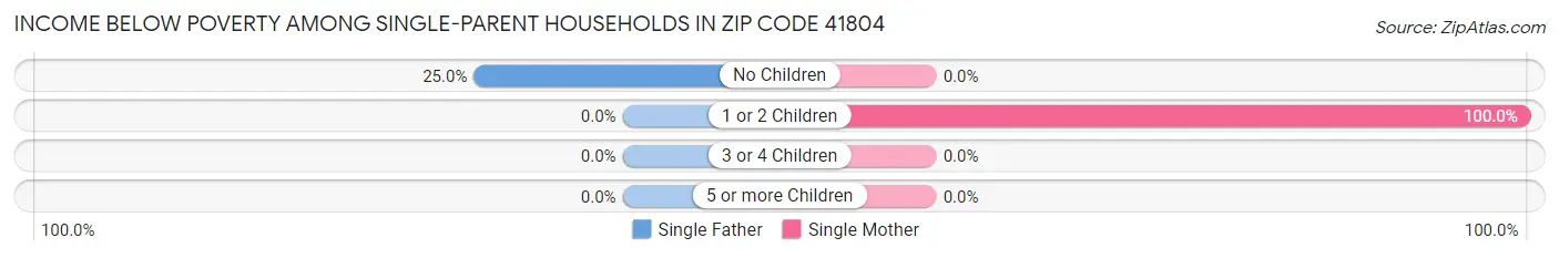Income Below Poverty Among Single-Parent Households in Zip Code 41804