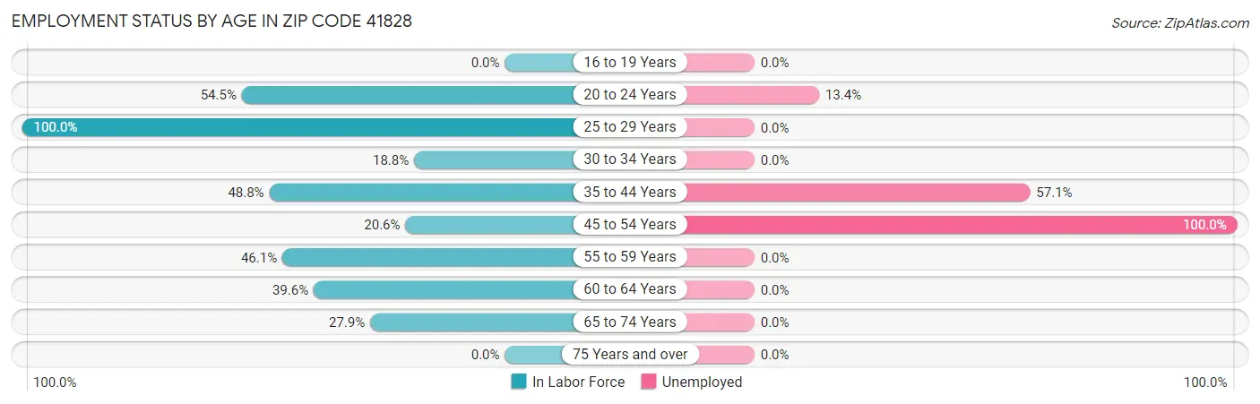 Employment Status by Age in Zip Code 41828