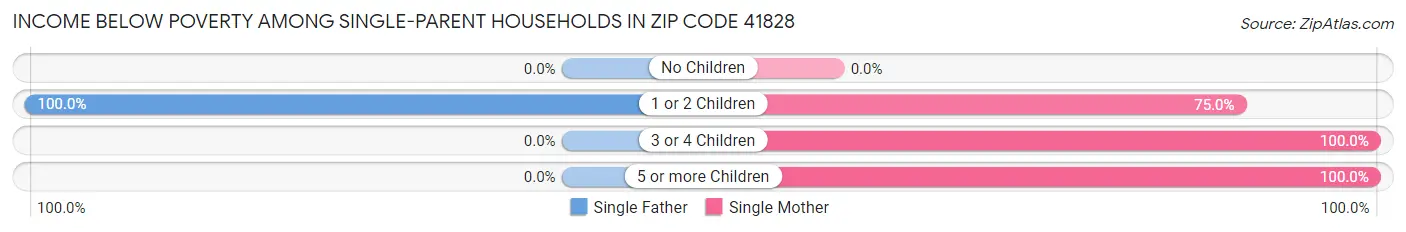 Income Below Poverty Among Single-Parent Households in Zip Code 41828
