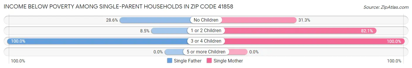 Income Below Poverty Among Single-Parent Households in Zip Code 41858