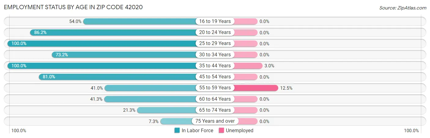 Employment Status by Age in Zip Code 42020