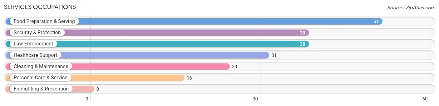 Services Occupations in Zip Code 42020