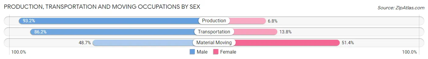 Production, Transportation and Moving Occupations by Sex in Zip Code 42023