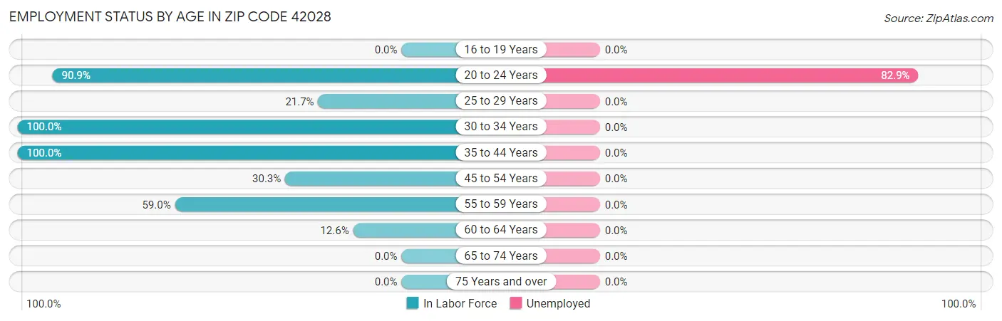 Employment Status by Age in Zip Code 42028