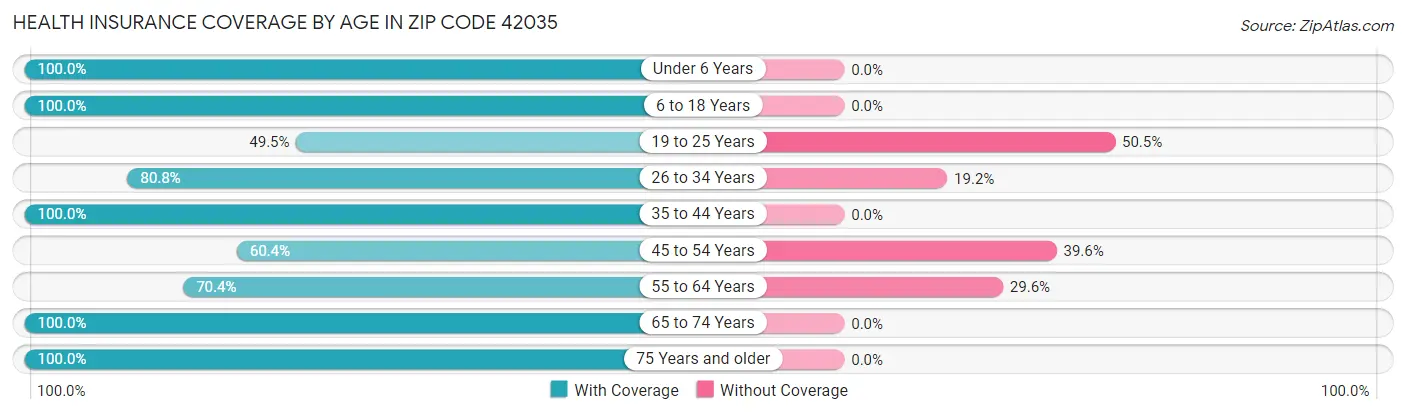 Health Insurance Coverage by Age in Zip Code 42035