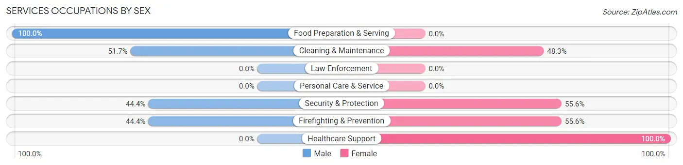 Services Occupations by Sex in Zip Code 42035