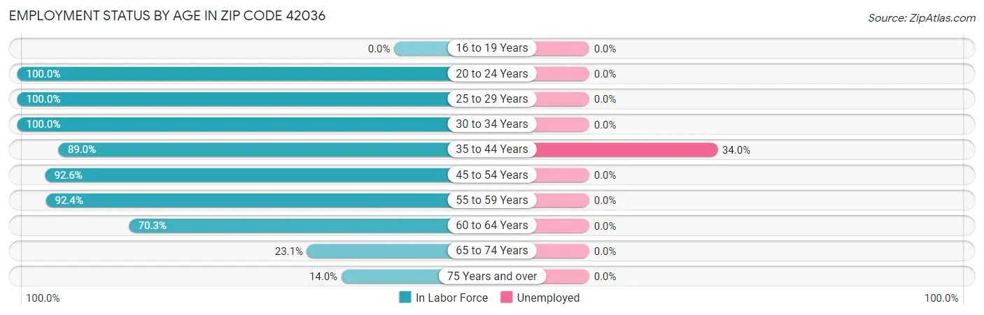 Employment Status by Age in Zip Code 42036