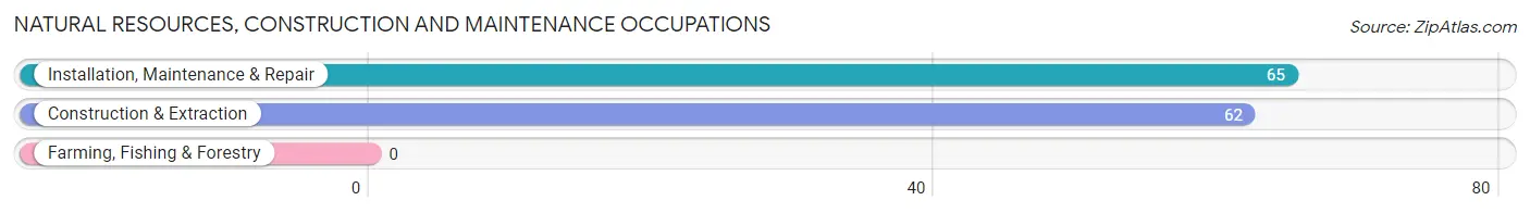 Natural Resources, Construction and Maintenance Occupations in Zip Code 42040