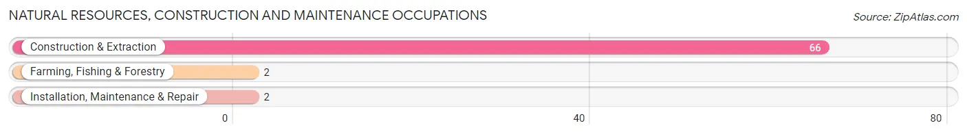 Natural Resources, Construction and Maintenance Occupations in Zip Code 42049