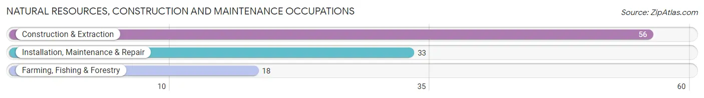 Natural Resources, Construction and Maintenance Occupations in Zip Code 42050