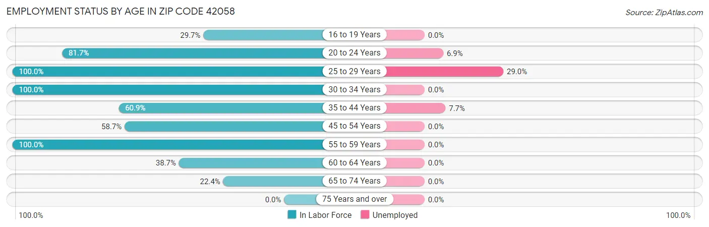 Employment Status by Age in Zip Code 42058