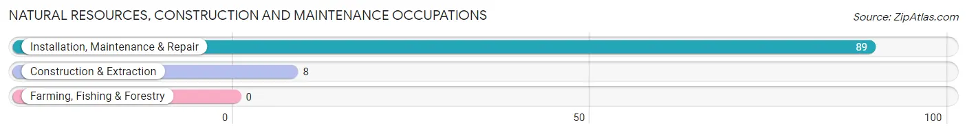 Natural Resources, Construction and Maintenance Occupations in Zip Code 42058