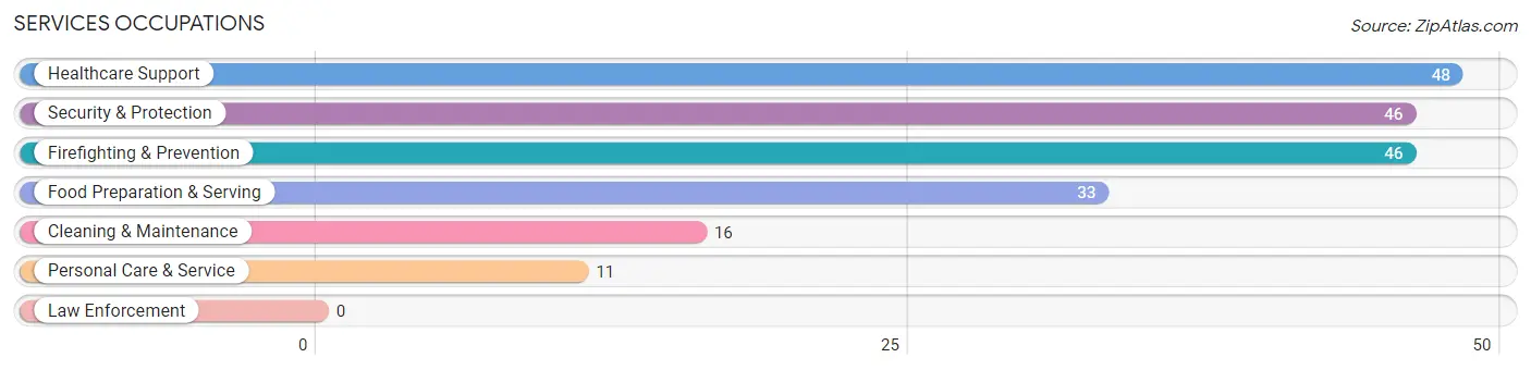 Services Occupations in Zip Code 42058