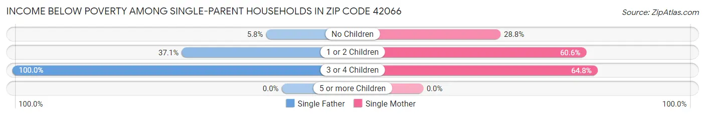 Income Below Poverty Among Single-Parent Households in Zip Code 42066