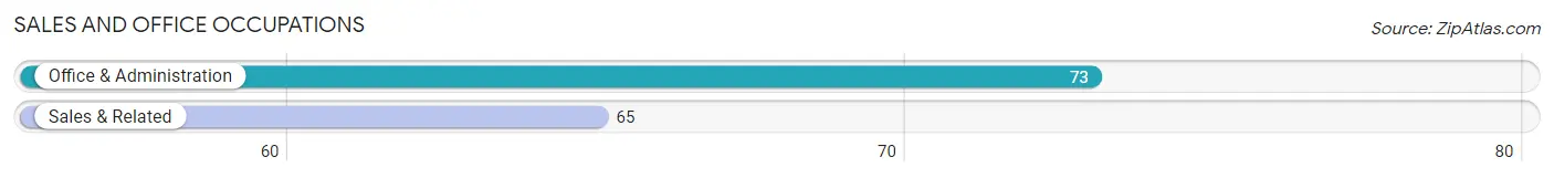 Sales and Office Occupations in Zip Code 42079