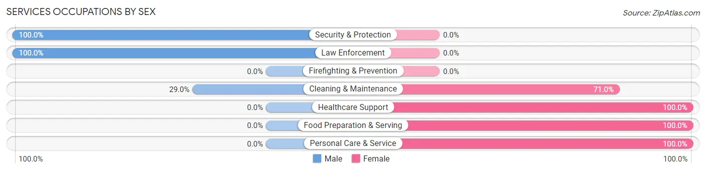 Services Occupations by Sex in Zip Code 42081