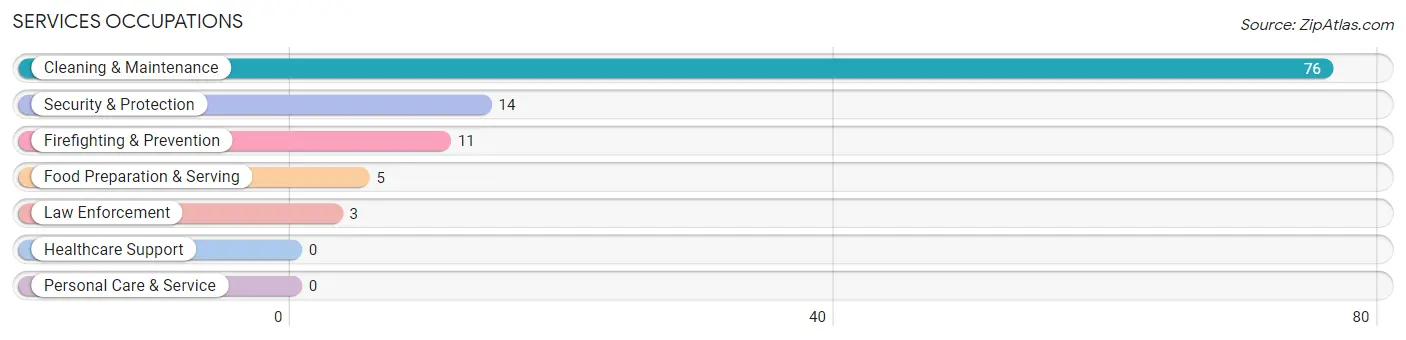 Services Occupations in Zip Code 42087