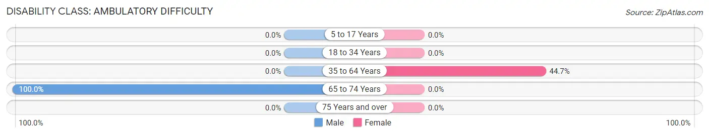 Disability in Zip Code 42131: <span>Ambulatory Difficulty</span>