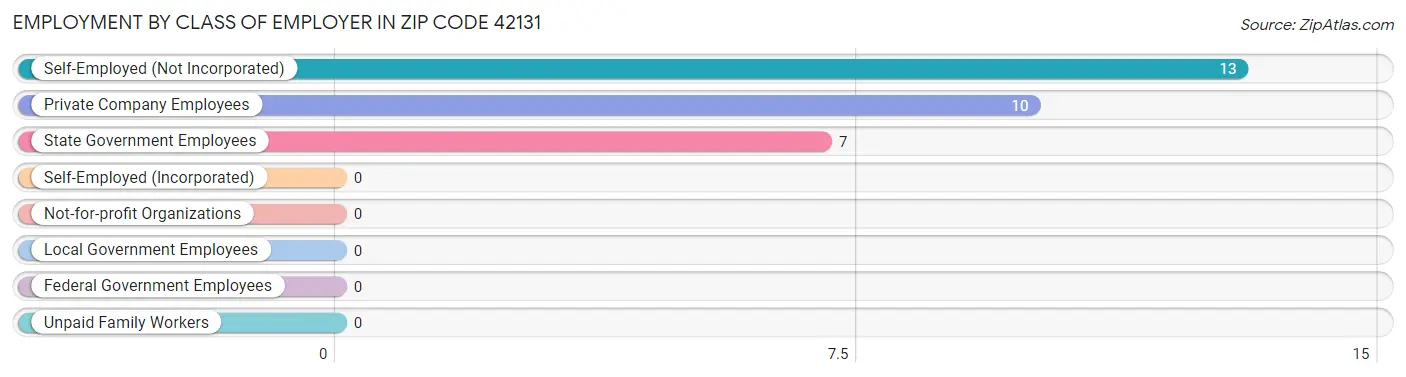 Employment by Class of Employer in Zip Code 42131