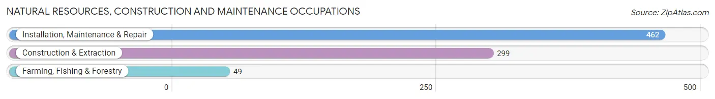 Natural Resources, Construction and Maintenance Occupations in Zip Code 42134