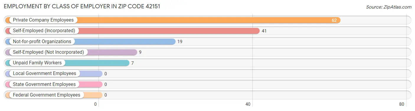 Employment by Class of Employer in Zip Code 42151