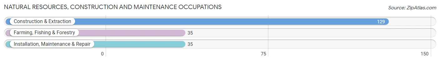 Natural Resources, Construction and Maintenance Occupations in Zip Code 42160