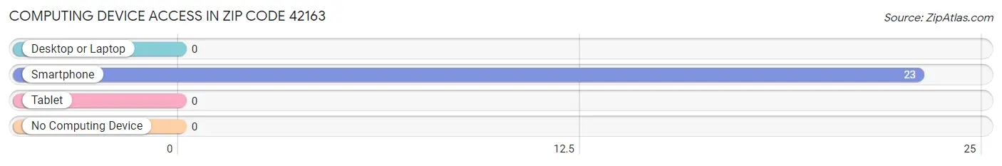 Computing Device Access in Zip Code 42163