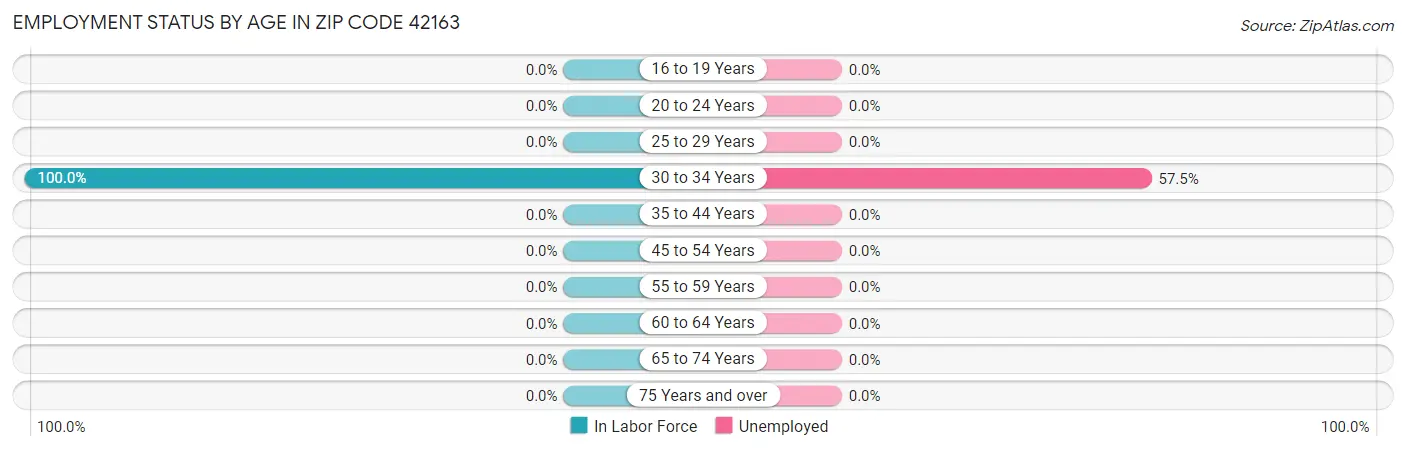 Employment Status by Age in Zip Code 42163