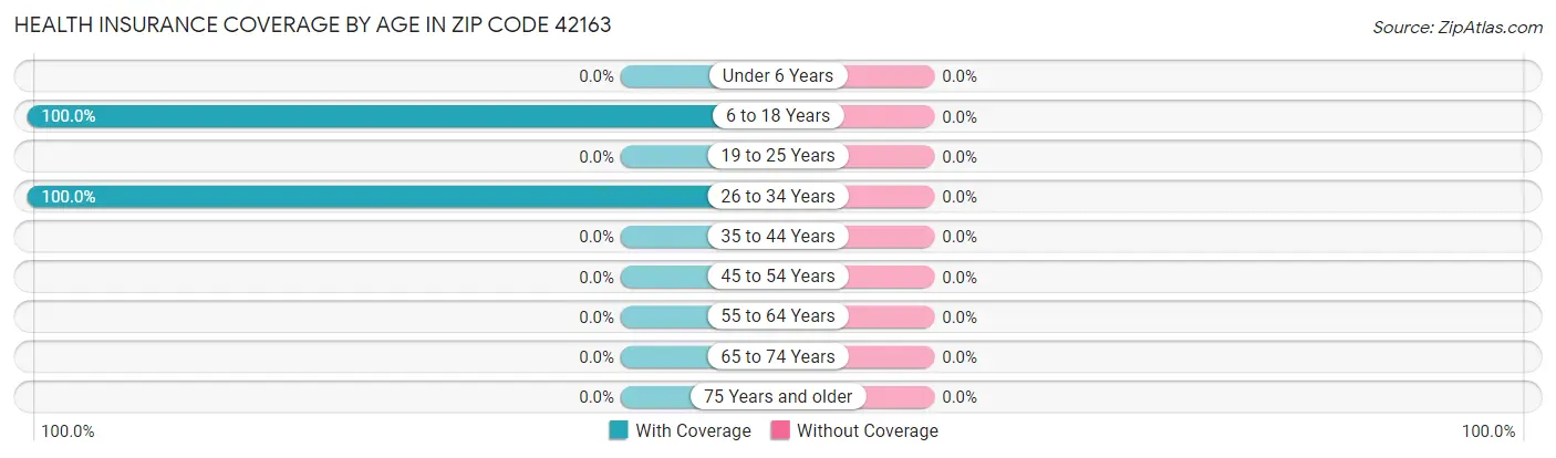 Health Insurance Coverage by Age in Zip Code 42163