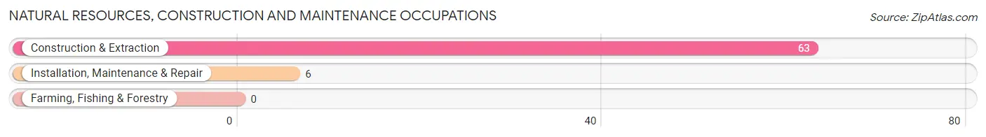 Natural Resources, Construction and Maintenance Occupations in Zip Code 42170