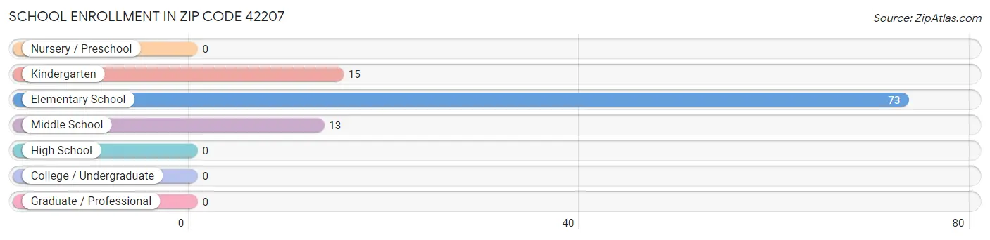 School Enrollment in Zip Code 42207