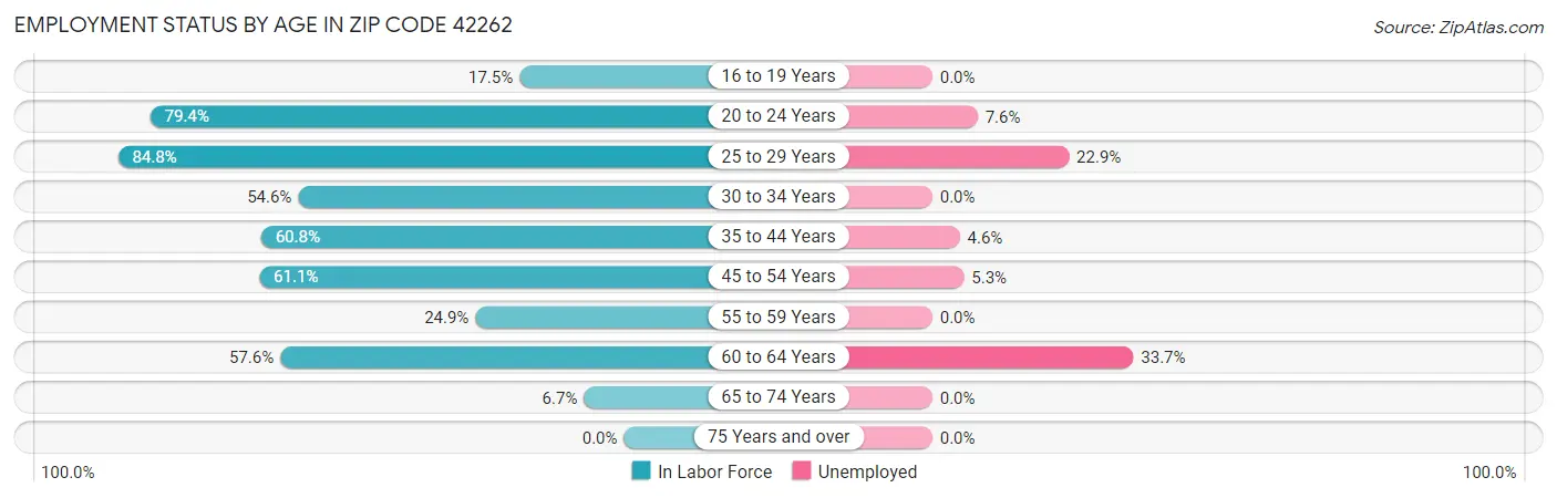 Employment Status by Age in Zip Code 42262