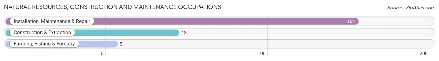 Natural Resources, Construction and Maintenance Occupations in Zip Code 42262