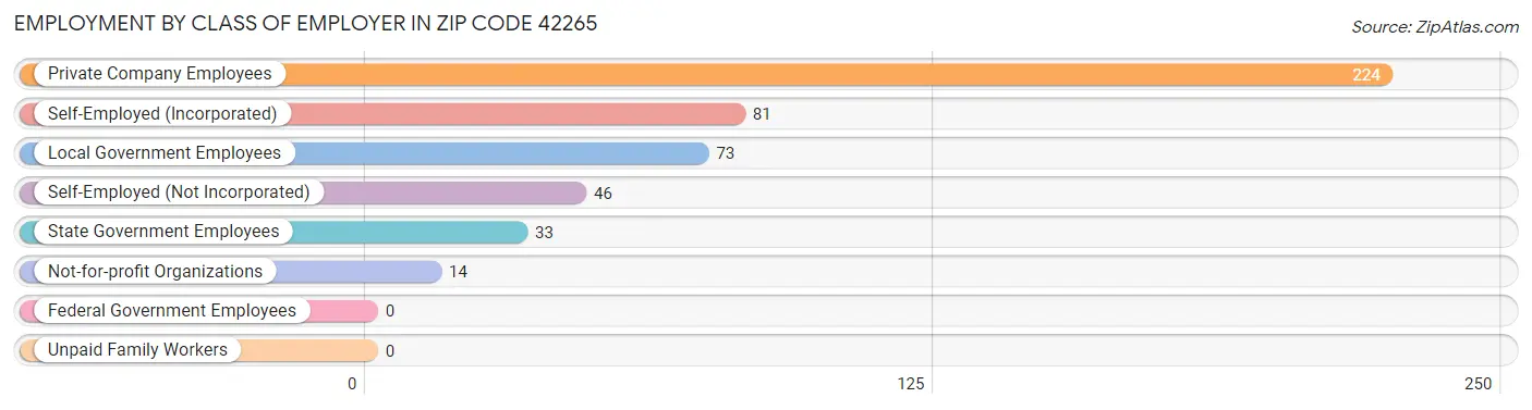 Employment by Class of Employer in Zip Code 42265