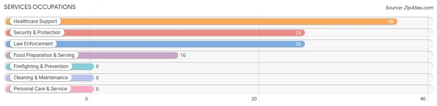 Services Occupations in Zip Code 42265