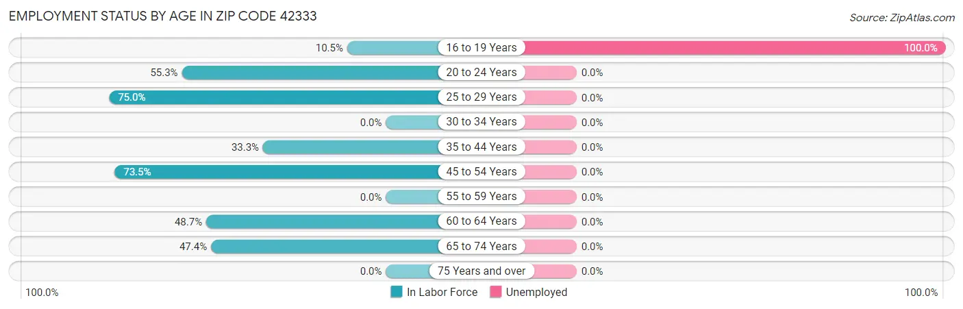 Employment Status by Age in Zip Code 42333