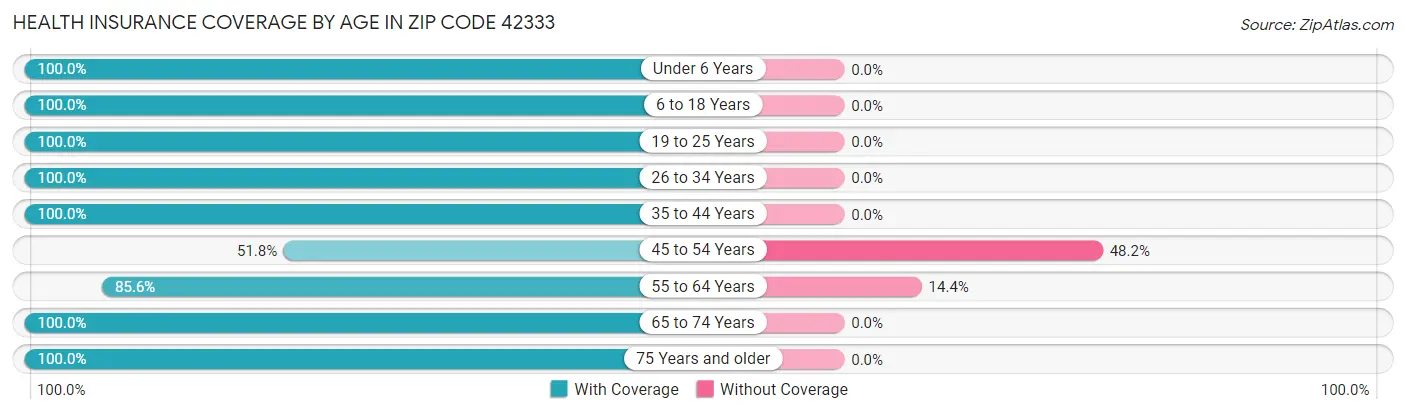 Health Insurance Coverage by Age in Zip Code 42333