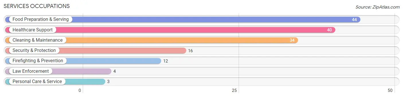 Services Occupations in Zip Code 42410