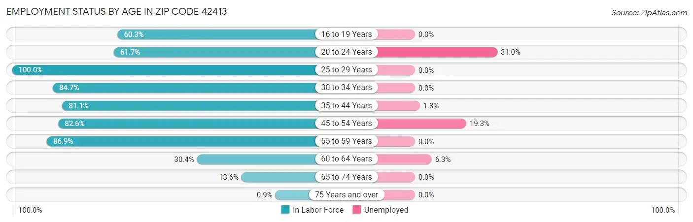 Employment Status by Age in Zip Code 42413