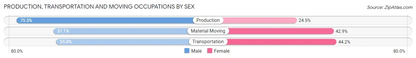 Production, Transportation and Moving Occupations by Sex in Zip Code 42413