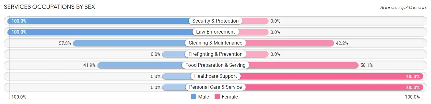 Services Occupations by Sex in Zip Code 42413