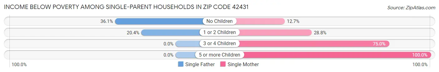 Income Below Poverty Among Single-Parent Households in Zip Code 42431